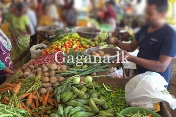 වෙළඳපොල එළවලු මිලෙහි සිදු වූ වෙනස.