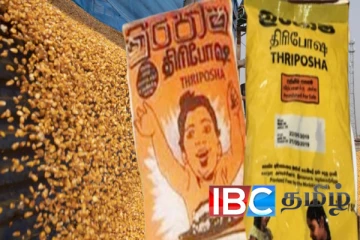 சோள இறக்குமதி மீதான கட்டுப்பாடு : நிறுத்தப்பட்டது திரிபோஷா உற்பத்தி