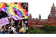 LGBTQ பிரிவினரை இப்படித்தான் அழைக்கனும் - உயர்நீதிமன்றம் அதிரடி!