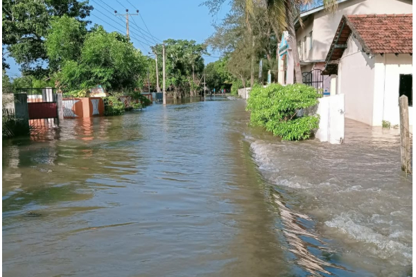 யாழில் 7.9 வீதமான குடும்பங்கள் பாதிப்பில் ; கிடைக்கப் பெற்ற நிதி | 7 9 Of Households In Jaffna Are Affected