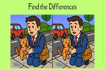 தெரு பூனையை அரவணைக்கும் நபர்: இதில் இருக்கும் 3 வித்தியாசங்கள் என்ன?