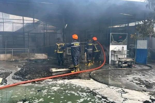 தொழிற்சாலையில் ஏற்பட்ட தீப்பரவலில் ஒருவர் உயிரிழப்பு | One Person Died In The Fire In The Factory