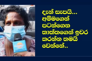 අම්මගෙන් පටන් ගෙන තාත්තගෙන් ඉවර කරන්න තමයි වෙන්නේ.. කාන්තාවක් ජනපතිට කිව්ව කතාව.. (VIDEO)