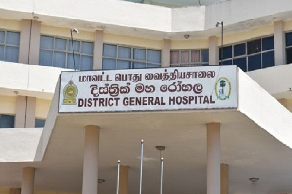 ஏ9 வீதியில் கோர விபத்து - சிறுமிக்கு எமனான நாய் | Horrible Accident On A9 Road Girl Mauled By Dog