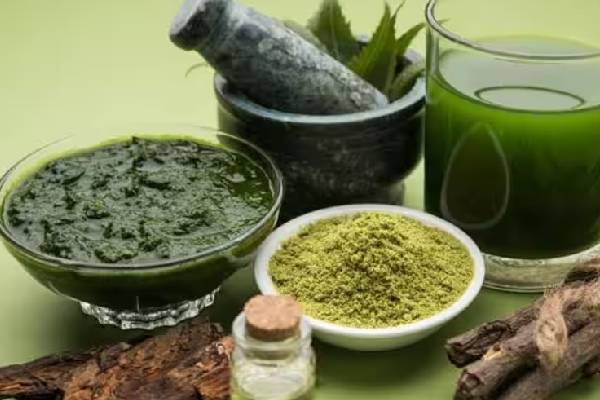 டெங்கு காய்ச்சலை தடுக்க இதை குடிங்க | Drink This To Prevent Dengue Fever
