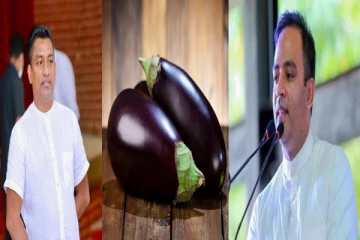 ஆபாச வார்த்தைகளால் விமர்சித்த திஸ்ஸ குட்டி ஆராச்சி!  "கத்தரிக்காய் குட்டி" என பெயர் சூட்டிய எதிர்க்கட்சி