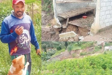 31 குடும்பங்களின் உயிரை காப்பாற்றிய நாய்