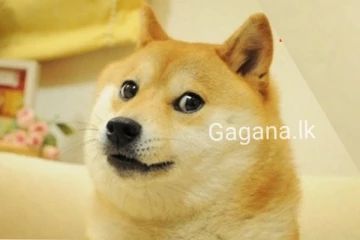 මතක ඉතිරි කර එයත් යන්නම ගිහින්.(PHOTOS)