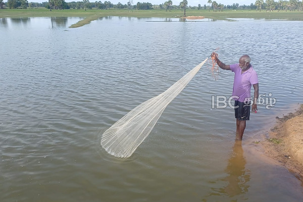 சீரற்ற வானிலையால் கிழக்கில் நன்னீர் மீன்களுக்கான கேள்வி அதிகரிப்பு! | Increasing Demand For Freshwater Fish சீரற்ற வானிலையால் கிழக்கில் நன்னீர் மீன்களுக்கான கேள்வி அதிகரிப்பு! | Increasing Demand For Freshwater Fish