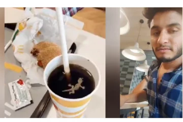 பிரபல McDonalds உணவகத்தில் குளிர்பானத்தில் இறந்து கிடந்த பல்லி - வைரலாகும் வீடியோ - அதிகாரிகள் அதிரடி