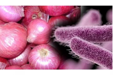 அமெரிக்காவில் வெங்காயம் மூலம் பரவும் வினோத நோய் - 650க்கும் மேற்பட்டோர் பாதிப்பு