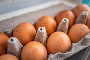 முட்டை விலையை குறைக்க தீர்மானம்! வெளியான தகவல்