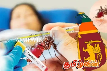 நாட்டில் டெங்கு நோயாளர்களின் எண்ணிக்கை அதிகரிப்பு