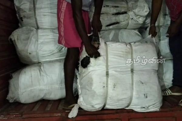 தூத்துக்குடியில் இருந்து இலங்கைக்கு கடத்த முயன்ற பல லட்சம் பெறுமதியான பீடி இலைகள் (video) | Beedi Leaves Seized In Thoothukudi