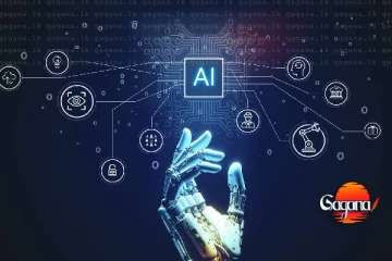 පොල් වතු සාර්ථක කරගන්න AI තාක්ෂණය යොදාගනී