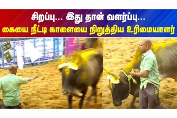 அந்தரத்தில் தொங்கிய வீரர்கள்  கெத்து காட்டிய கொம்பன் காளை