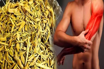 ஒட்டுமொத்த நோய்களுக்கும் மருந்தாகும் மரமஞ்சள்.. முழுசா தெரிஞ்சிக்கோங்க