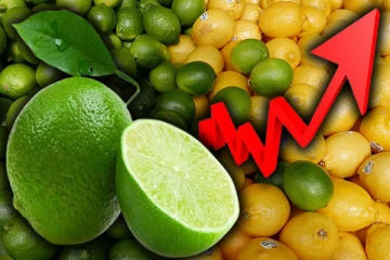 அதிகரித்த எலுமிச்சை விலை: குற்றஞ்சாட்டும் உற்பத்தியாளர்கள்