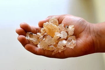 மருத்துவகுணம் கொண்ட பாதாம் பிசின்! எந்தெந்த நோய்களை போக்க உதவுகிறது தெரியுமா?