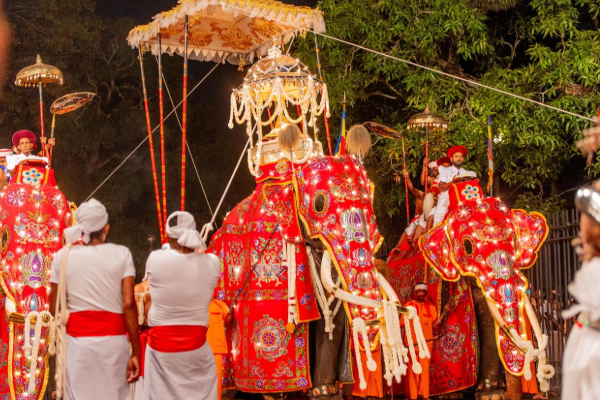 கண்டி எசல பெரஹெராவில் பங்கேற்ற ஜனாதிபதி அனுர | President Anura In The Kandy Esala Perahera கண்டி எசல பெரஹெராவில் பங்கேற்ற ஜனாதிபதி அனுர | President Anura In The Kandy Esala Perahera
