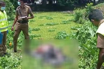 නෙළුම් මල් කඩන්න ගොස් අතුරුදන්වූ පුද්ගලයාගේ සිරුර පාවෙමින් තිබියදී සොයා ගනී