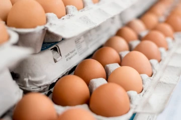 இந்தியா பாகிஸ்தானில் இருந்து முட்டை இறக்குமதி