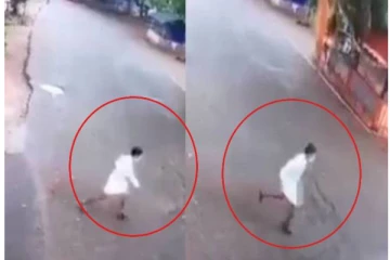 எமனாக வந்த ராட்சத மரம்...  நூலிழையில் உயிர் தப்பிய அதிசயம்! தீயாய் பரவும் காட்சி