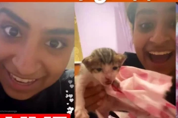 Sivaangi-யை கதறி ஓட வைத்த பூனை.. | Cook with Comali Shivangi Live | Cineulagam