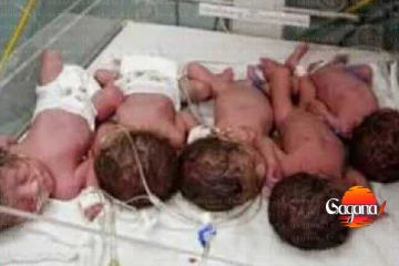 අනේ මෙන්න එක අම්මෙක්ට දරුවෝ පහක් ඉපදිලා - පහම කොල්ලොලු