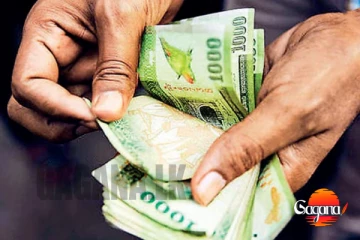 සෙවනගල උක් ගොවීන්ට ගිනි තැබීම හේතුවෙන් හානි වූ වගාවන් සඳහා වන්දි