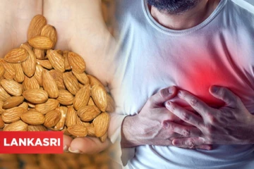 தினமும் ஒரு கையளவு இதை சாப்பிடுங்க போதும்... இதய பிரச்சனையே வராதாம்!