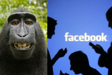 கறுப்பினத்தவரை 'குரங்குகள்' என அடையாளம் கண்ட Facebook! மன்னிப்புக் கேட்டு நடவடிக்கை