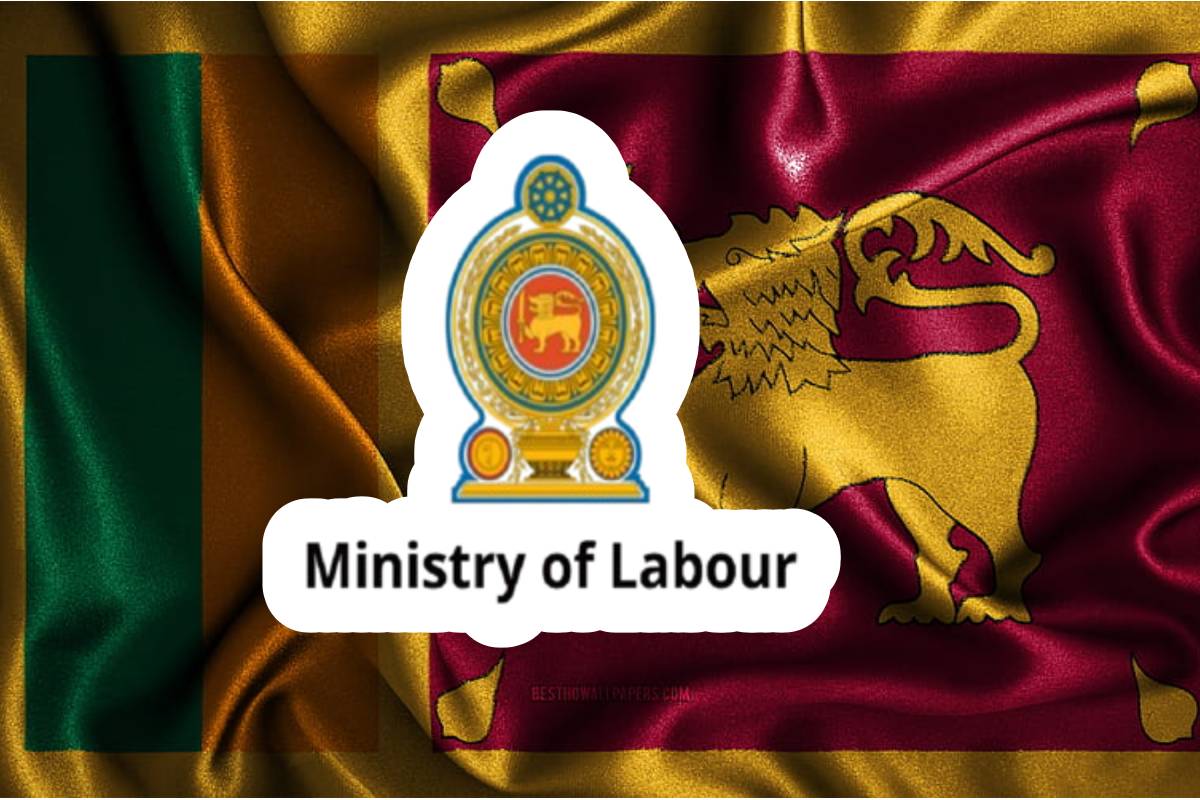 நிதி பிரதி அமைச்சர் பெயரில் பரவும் போலி தகவல் : அமைச்சு கடும் கண்டனம் | Fake Information Spread In Min Anil Jayantha Name நிதி பிரதி அமைச்சர் பெயரில் பரவும் போலி தகவல் : அமைச்சு கடும் கண்டனம் | Fake Information Spread In Min Anil Jayantha Name