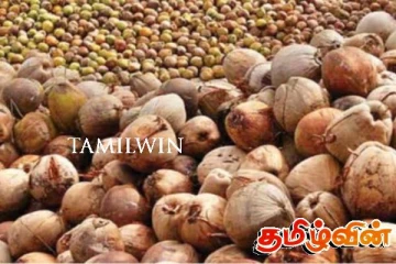 தேங்காய் தட்டுப்பாட்டிற்கு தீர்வு!