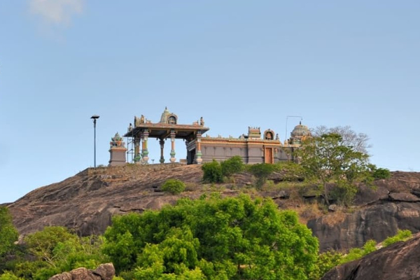 வடக்கு–கிழக்கு நிபுணர்கள் மீண்டும் புறக்கணிப்பு ; தொல்லியல் குழு நியமனத்திற்கு எதிர்ப்பு | North East Experts Boycott Againopposition