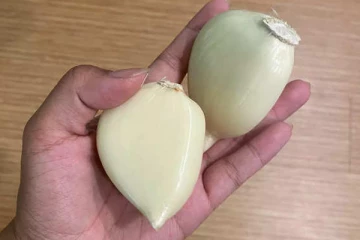 பூண்டை நீண்ட நாட்கள் கெட்டுப் போகாமல் இருக்க என்ன செய்யலாம்? முளைத்த பூண்டை சாப்பிடலாமா?