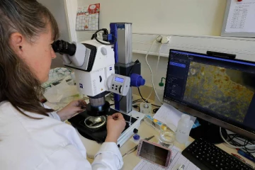 நெதர்லாந்து விஞ்ஞானிகள் அதிர்ச்சித் தகவல்