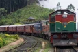 දුම්රිය මාර්ග කිහිපයක ධාවනය තාවකාලිකව අත්හිටුවයි- මගීන්ට හදිසි දැනුම්දීමක්