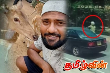 கொழும்பில் கோர விபத்தில் இளைஞன் பலி