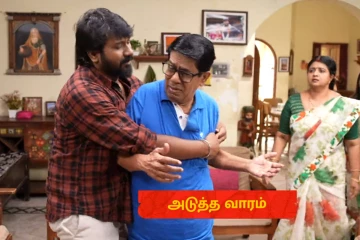 நான் செத்துப்போகலாம்.. கண்கலங்கி அழும் அண்ணாமலை! சிறகடிக்க ஆசை சீரியலில் அடுத்து நடக்கவிருப்பது இதுதான்