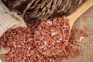 சிவப்பு அரிசியை உட்கொள்வதால் இவ்வளவு நன்மைகள் உள்ளதா!