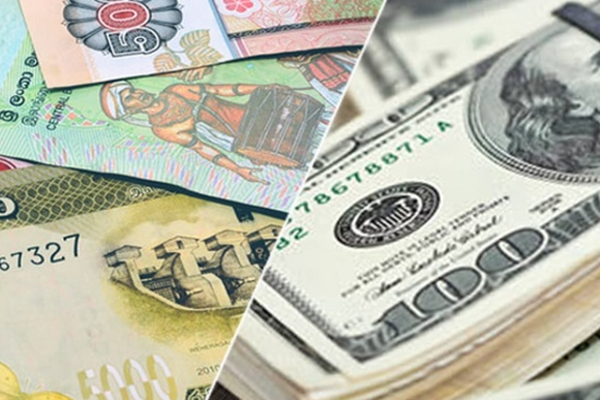 இலங்கை ரூபாயின் பெறுமதி வீழ்ச்சி | The Value Of The Sri Lankan Rupee Is Falling