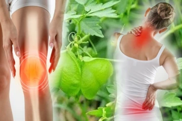 பக்கவாதம், மூட்டு வலி, இடுப்பு வலியை போக்கும் அற்புத கீரை!