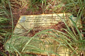 பாதுகாக்கப்பட்ட வனங்களில் நடக்கும் திருட்டு: பொட்டிழந்த மங்கை போலாகும் அவலம் (Photos)