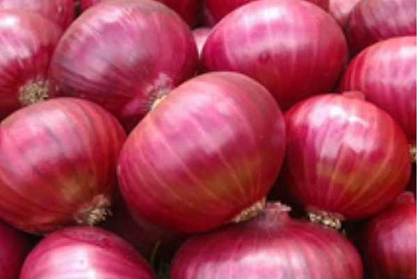 யாழில் களவுபோன 500 கிலோ வெங்காயம்! | 500 Kg Of Onions Rotted In Yali