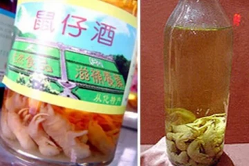 எலிக்குட்டி ஒயின்! சீனர்கள் ருசித்து சாப்பிடும் பானம்