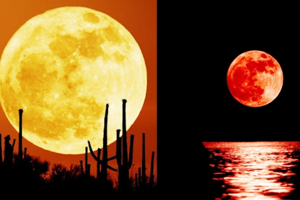 வானில் தோன்றிய ‘சூப்பர் மூன்’ - அழகை ரசித்த மக்கள் மகிழ்ச்சி! | World