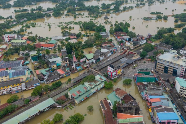 மலையகத் தமிழ் உறவுகளுக்கு வடக்கு- கிழக்கு துணை நிற்கும்! சுரேஷ் பிரேமச்சந்திரன் தெரிவிப்பு | North East Will Support Hilly Tamil Relations மலையகத் தமிழ் உறவுகளுக்கு வடக்கு- கிழக்கு துணை நிற்கும்! சுரேஷ் பிரேமச்சந்திரன் தெரிவிப்பு | North East Will Support Hilly Tamil Relations