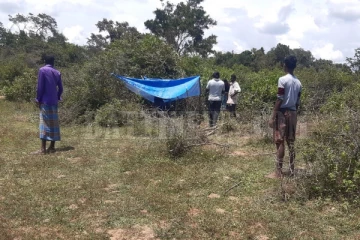 யானை தாக்கியதில் விவசாயிக்கு நேர்ந்த சோகம்!