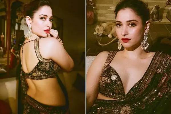 படுக்கையறை, அந்தரங்கக் காட்சிகளில் நடிகர்கள் இப்படித்தான்.. அப்படி இருக்கும் - தமன்னா ஓபன்டாக்! - தமிழ்நாடு